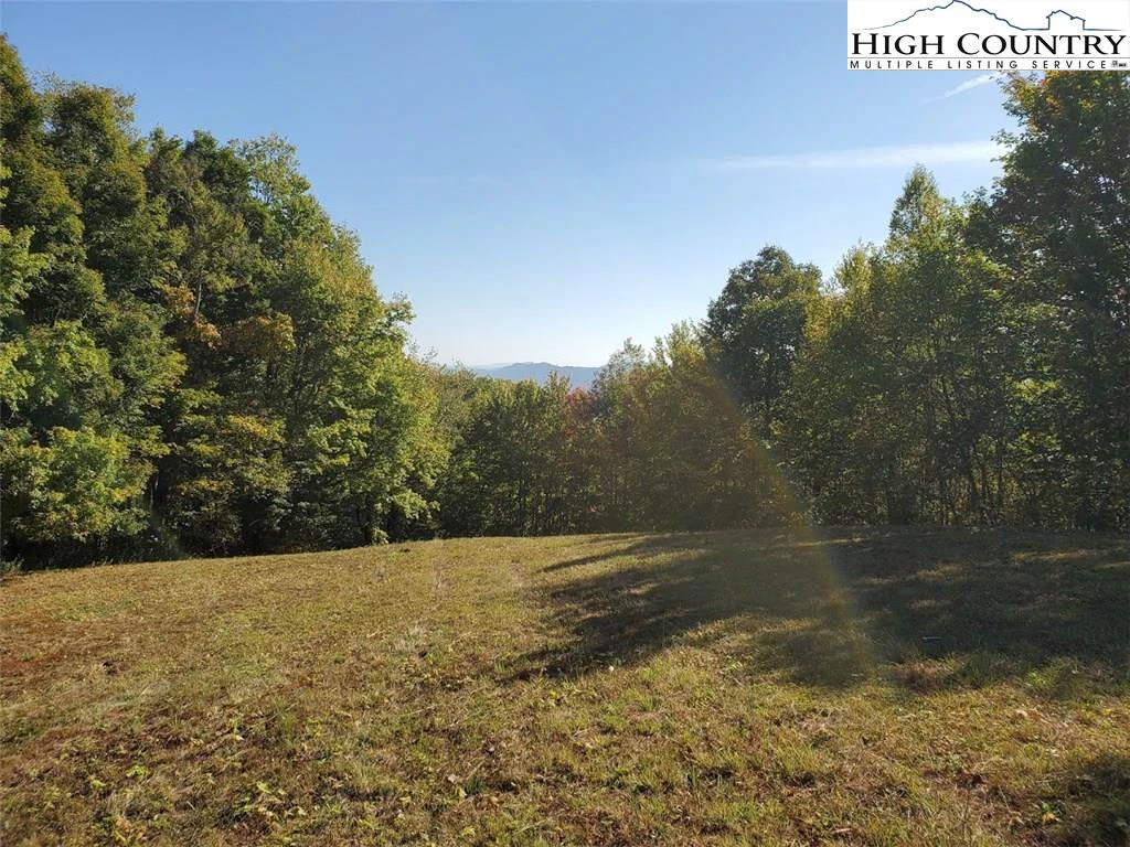 Image number 10 for the current listing