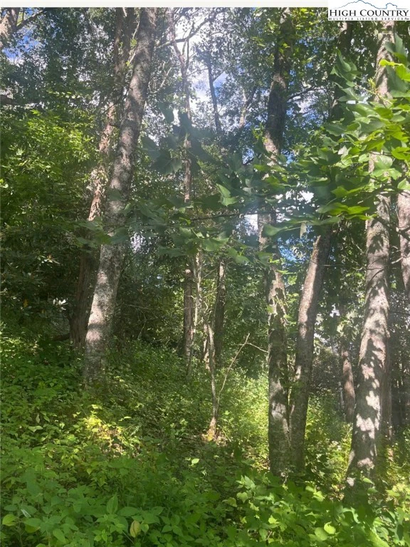 Image number 1 for the current listing