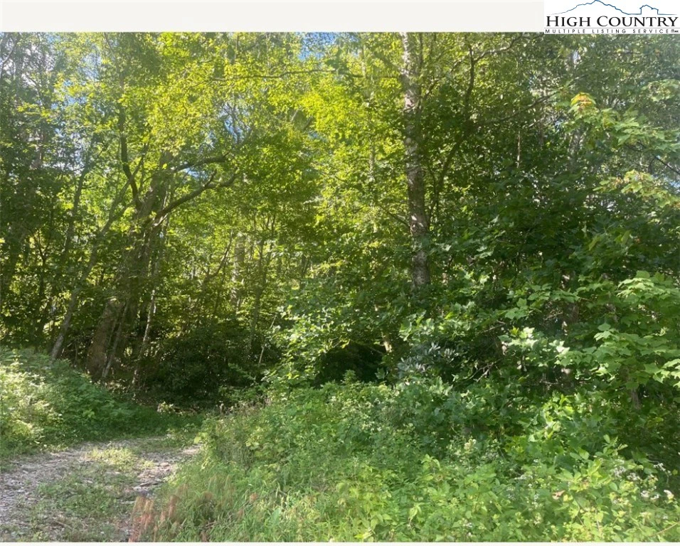 Image number 3 for the current listing