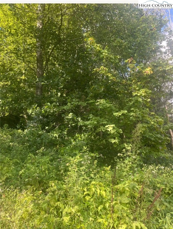 Image number 4 for the current listing