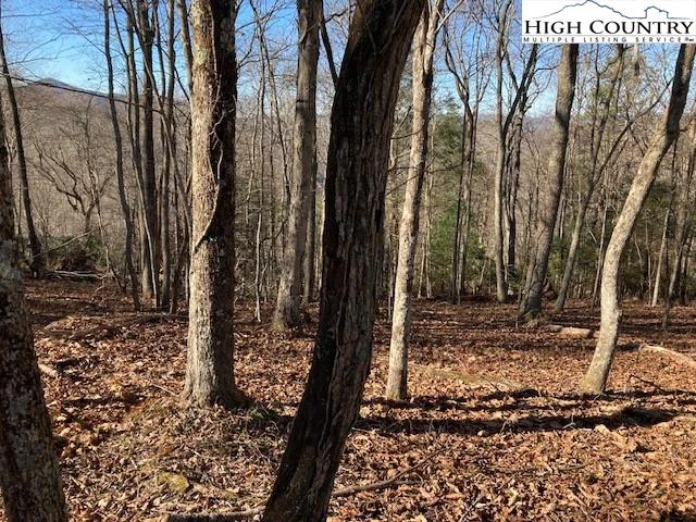 Image number 1 for the current listing
