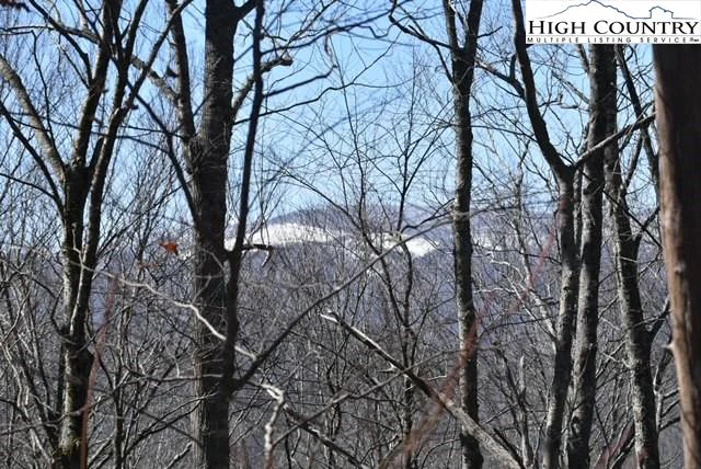 Image number 5 for the current listing