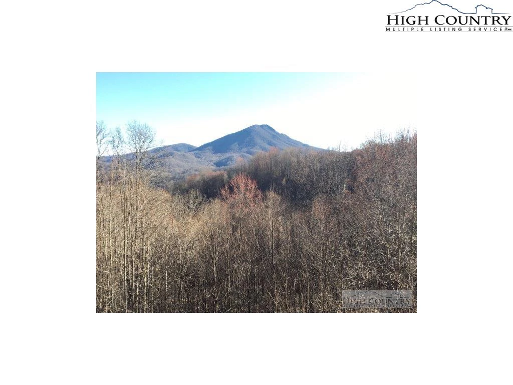 Image number 1 for the current listing