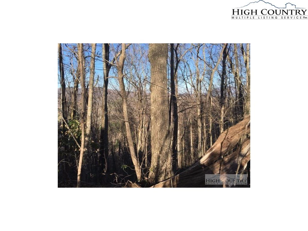 Image number 3 for the current listing