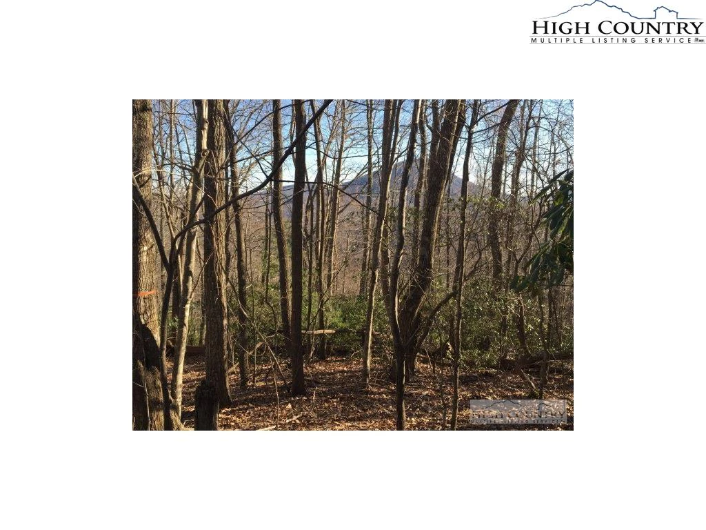 Image number 4 for the current listing