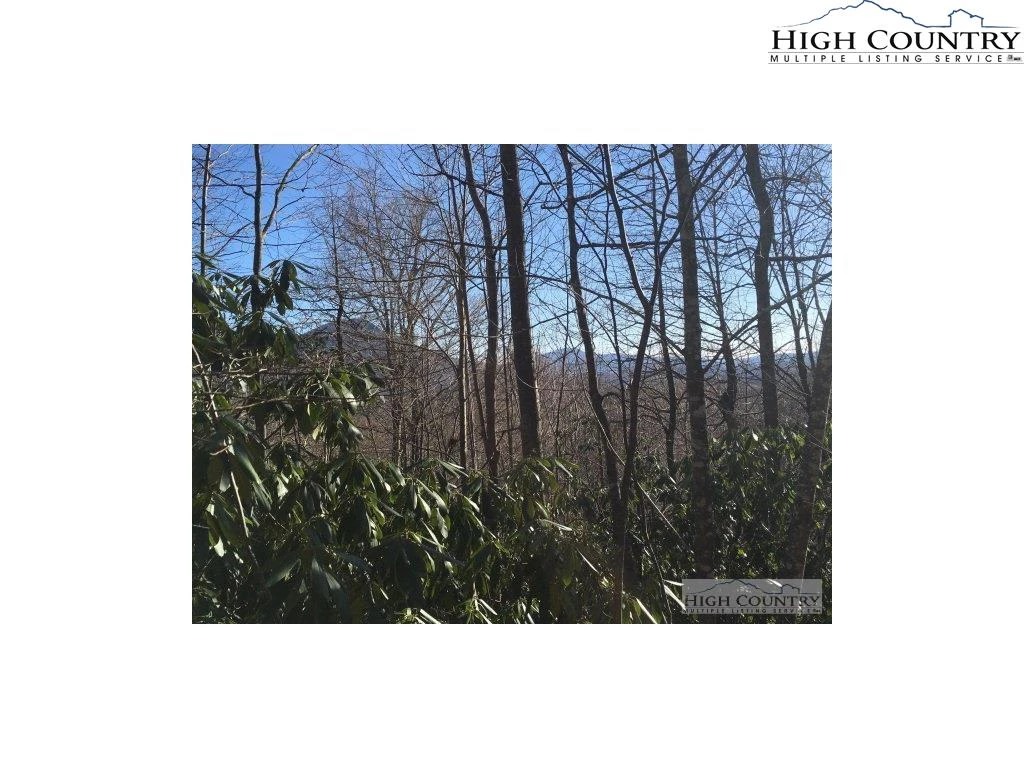 Image number 5 for the current listing