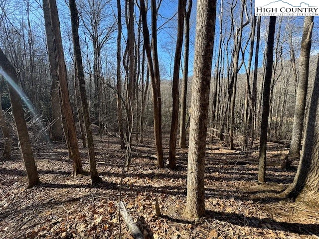 Image number 8 for the current listing