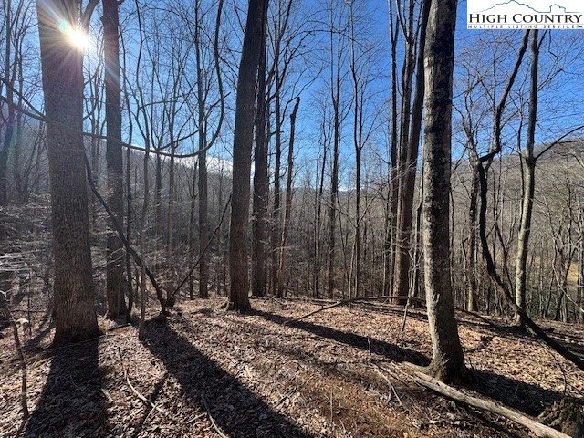 Image number 9 for the current listing