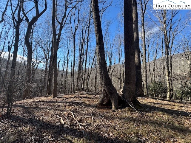 Image number 2 for the current listing
