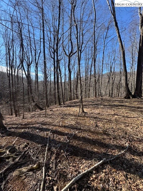 Image number 11 for the current listing