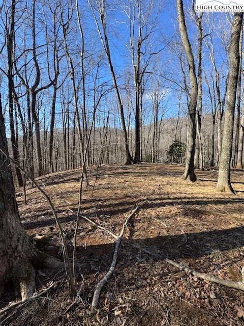 Image number 12 for the current listing