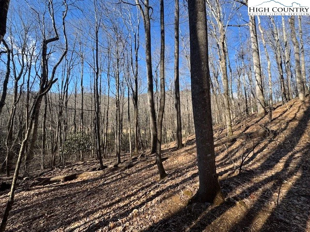 Image number 15 for the current listing