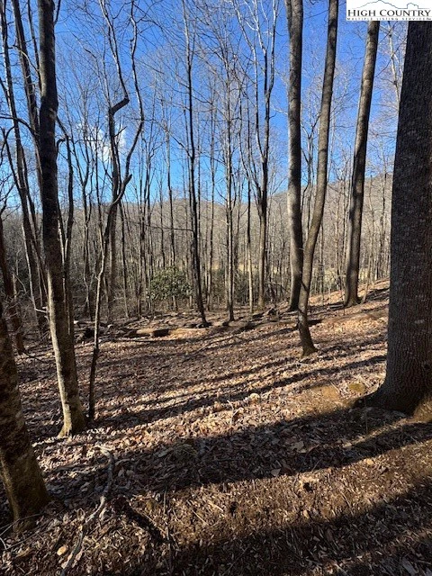 Image number 18 for the current listing