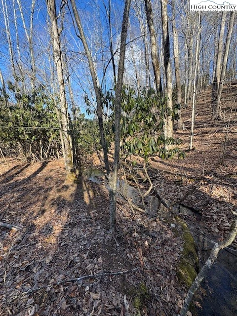 Image number 1 for the current listing