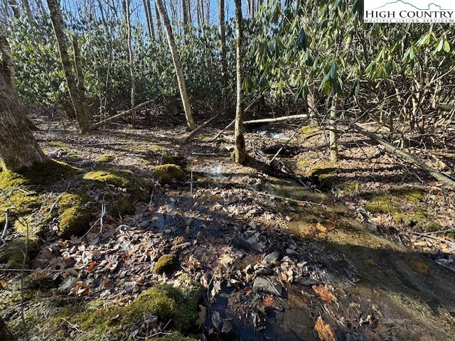 Image number 3 for the current listing