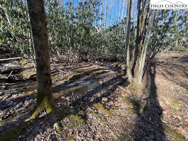 Image number 4 for the current listing