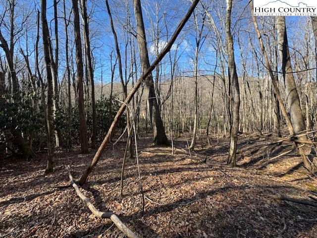 Image number 6 for the current listing