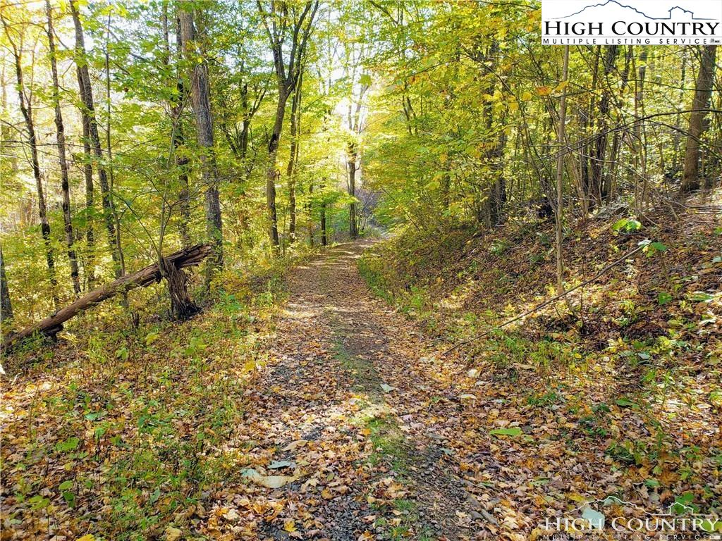 Image number 1 for the current listing