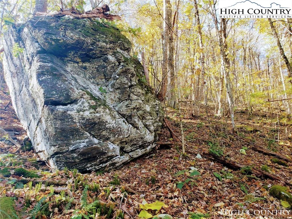 Image number 3 for the current listing