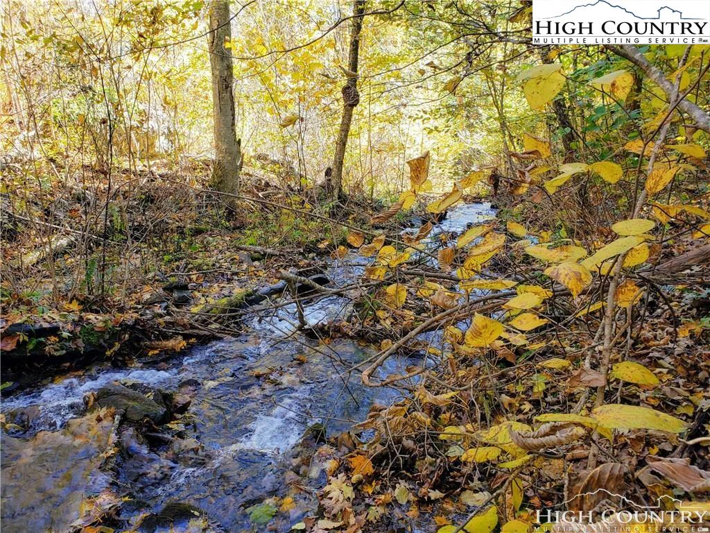 Image number 4 for the current listing