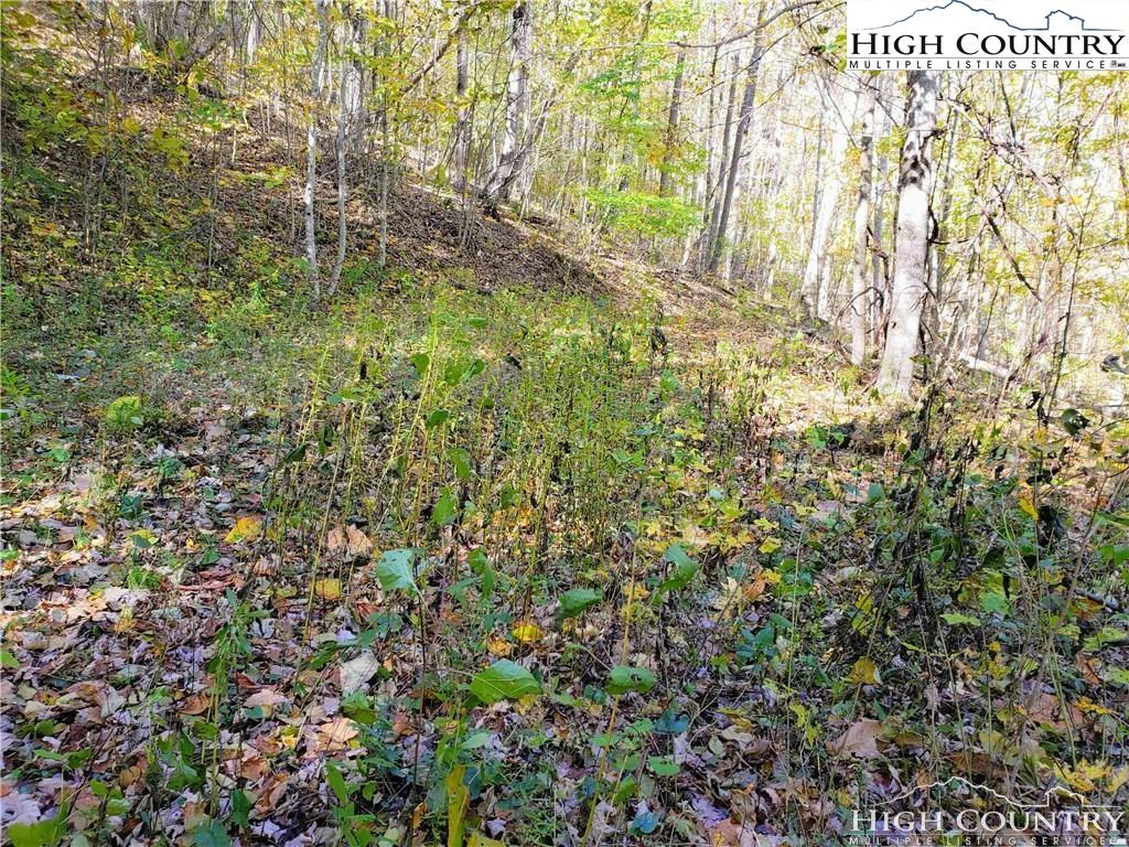 Image number 5 for the current listing