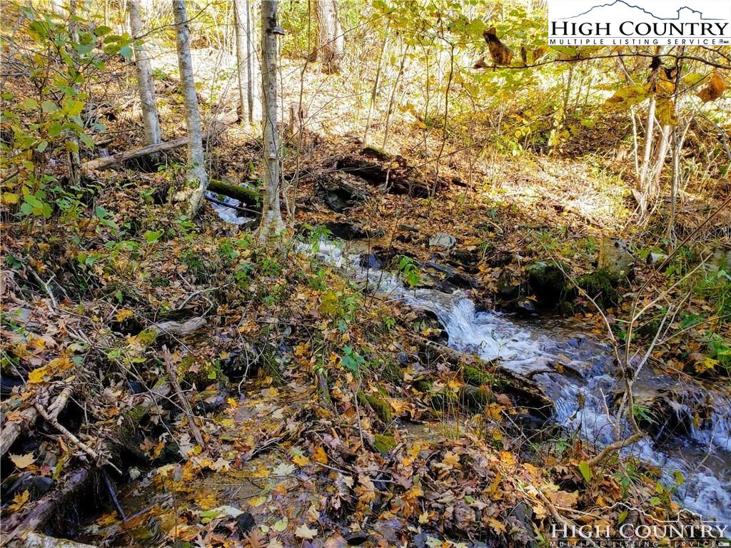 Image number 6 for the current listing