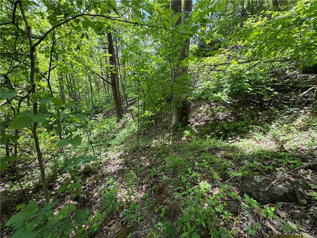 Image number 3 for the current listing