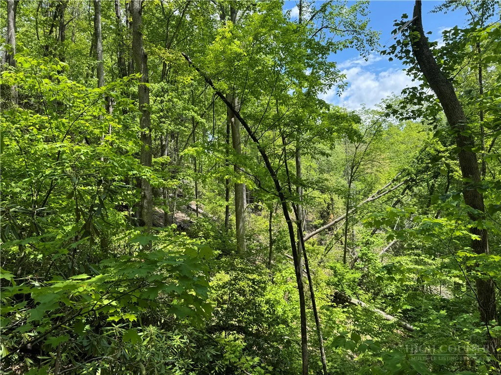Image number 7 for the current listing