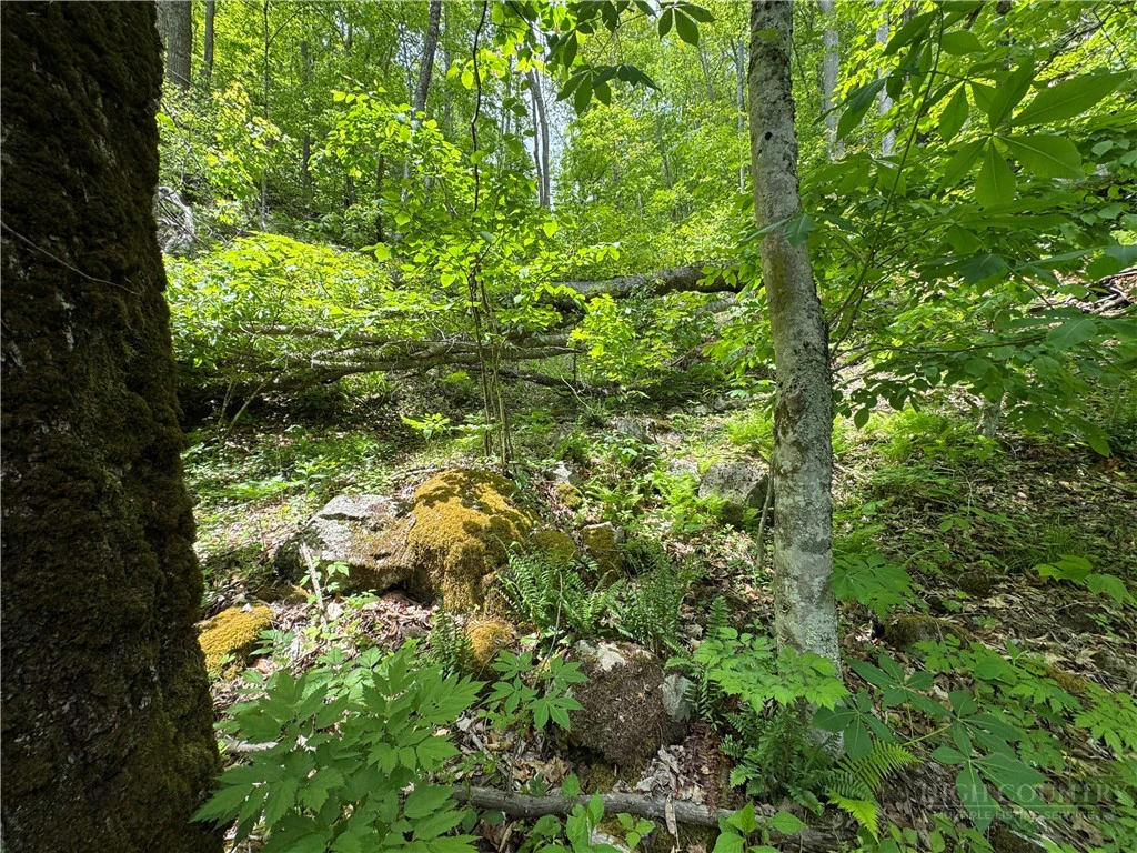 Image number 8 for the current listing