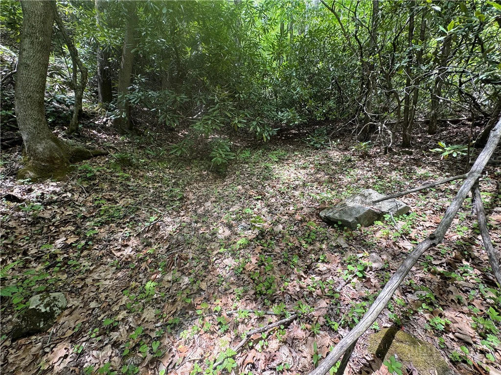 Image number 2 for the current listing