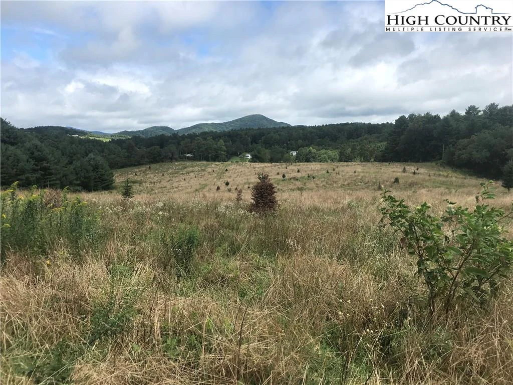 Image number 1 for the current listing