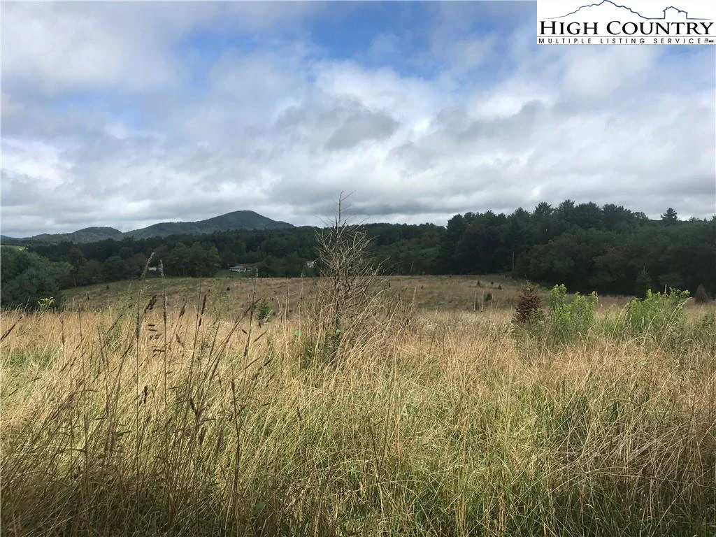 Image number 3 for the current listing
