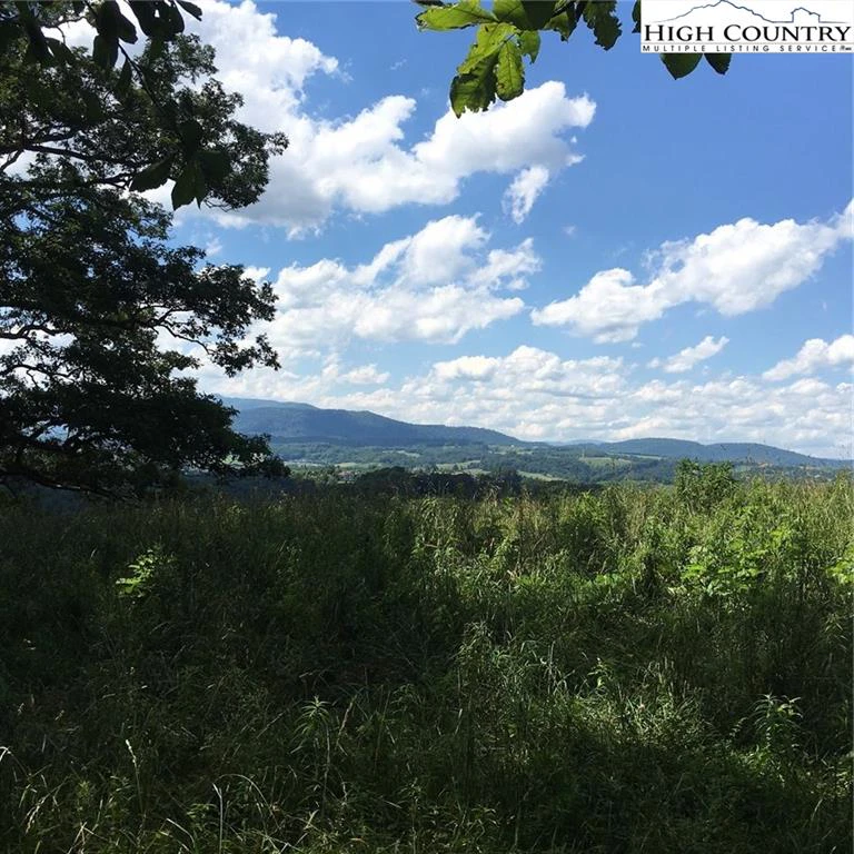 Image number 1 for the current listing