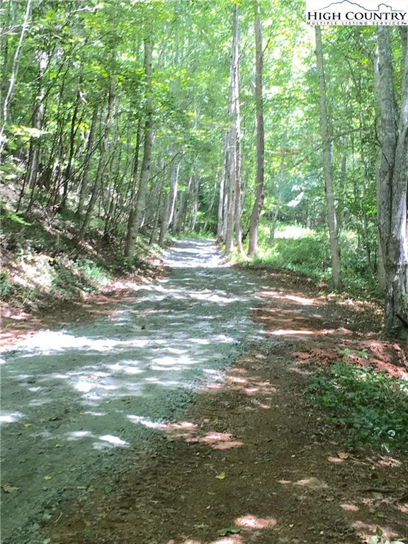 Image number 4 for the current listing