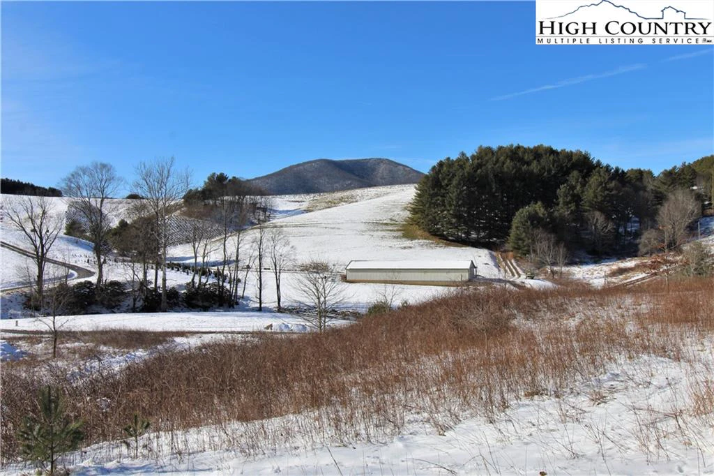 Image number 1 for the current listing