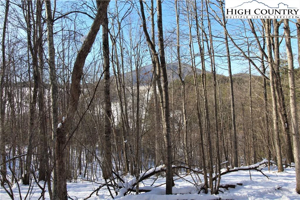 Image number 11 for the current listing
