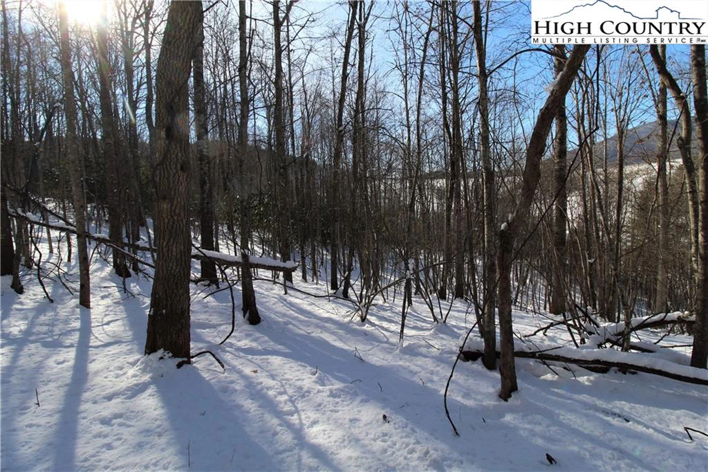 Image number 12 for the current listing