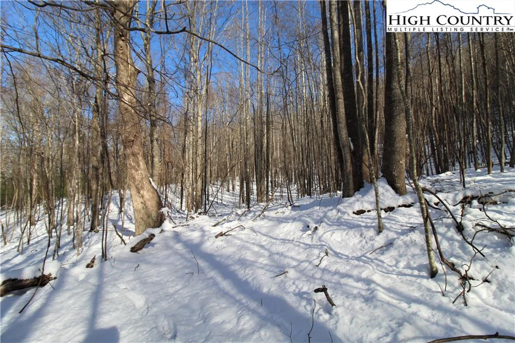 Image number 13 for the current listing