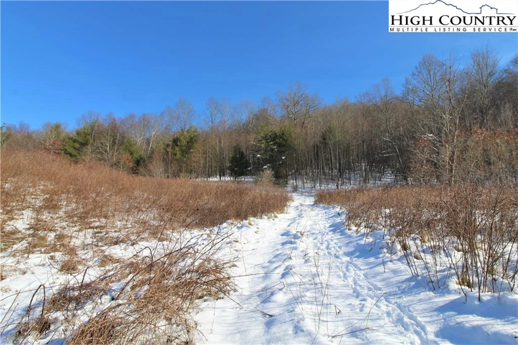 Image number 3 for the current listing