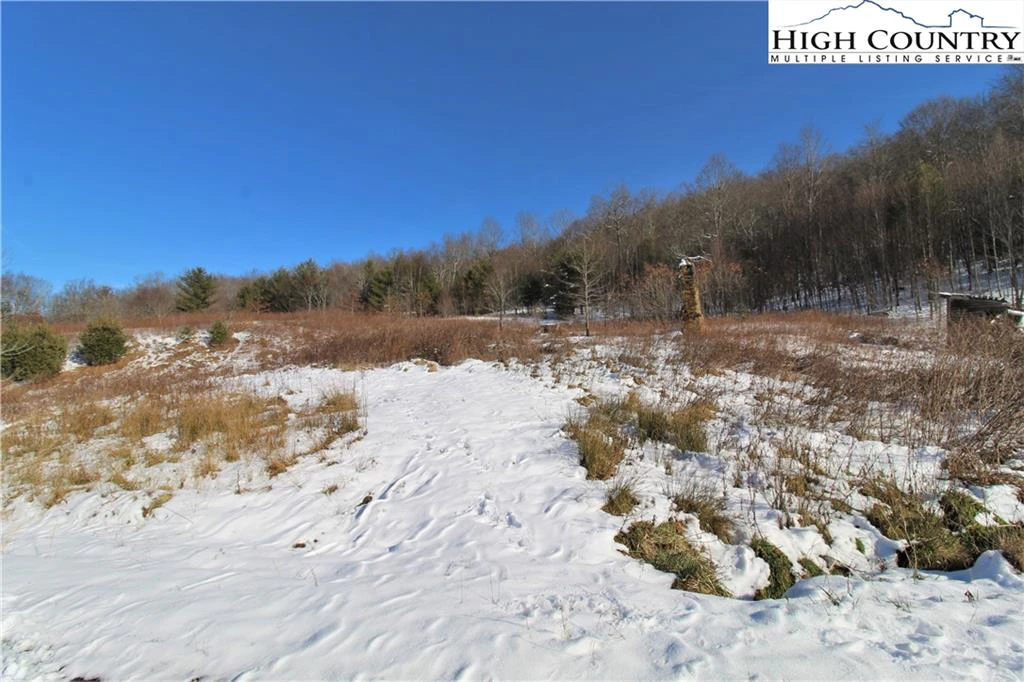 Image number 4 for the current listing