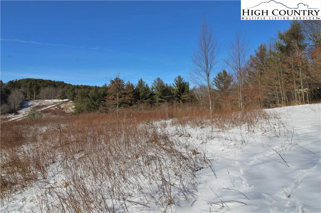 Image number 5 for the current listing