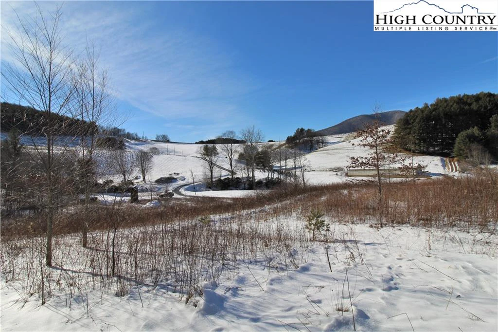 Image number 7 for the current listing