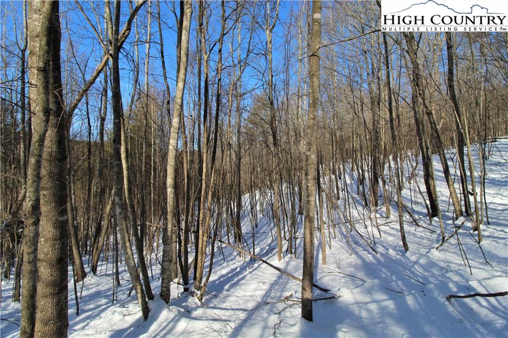Image number 9 for the current listing
