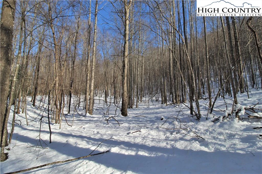 Image number 10 for the current listing