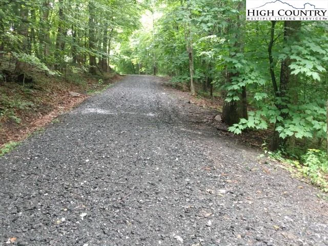 Image number 1 for the current listing
