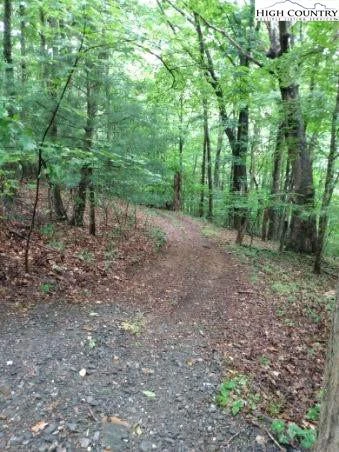 Image number 11 for the current listing