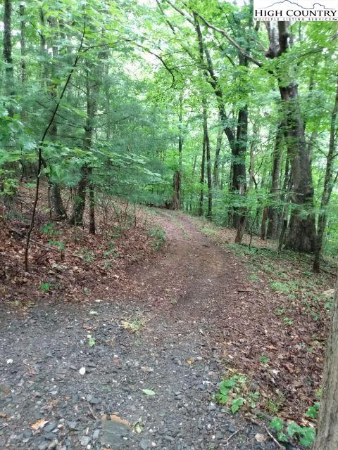 Image number 3 for the current listing
