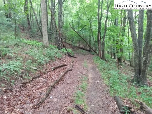 Image number 5 for the current listing