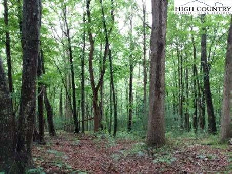 Image number 9 for the current listing