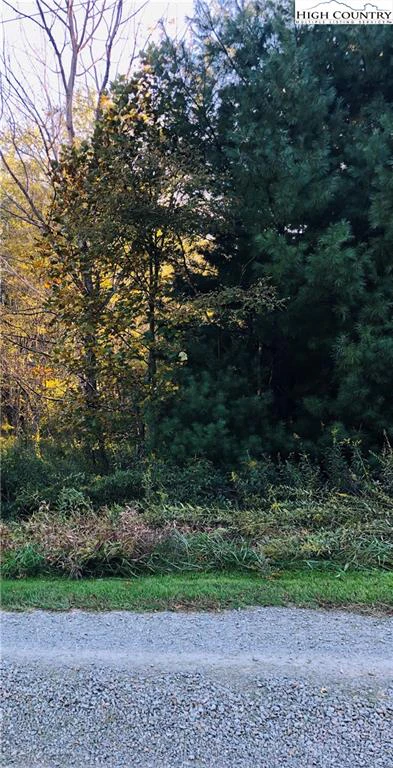Image number 1 for the current listing